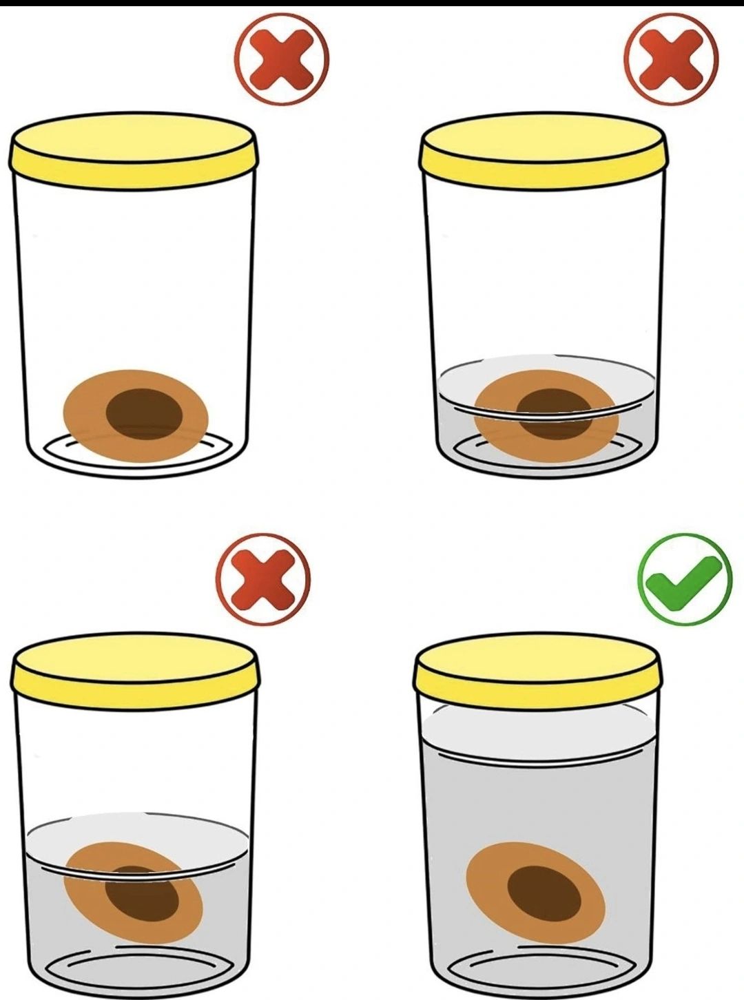 Tissue fixation workflow
