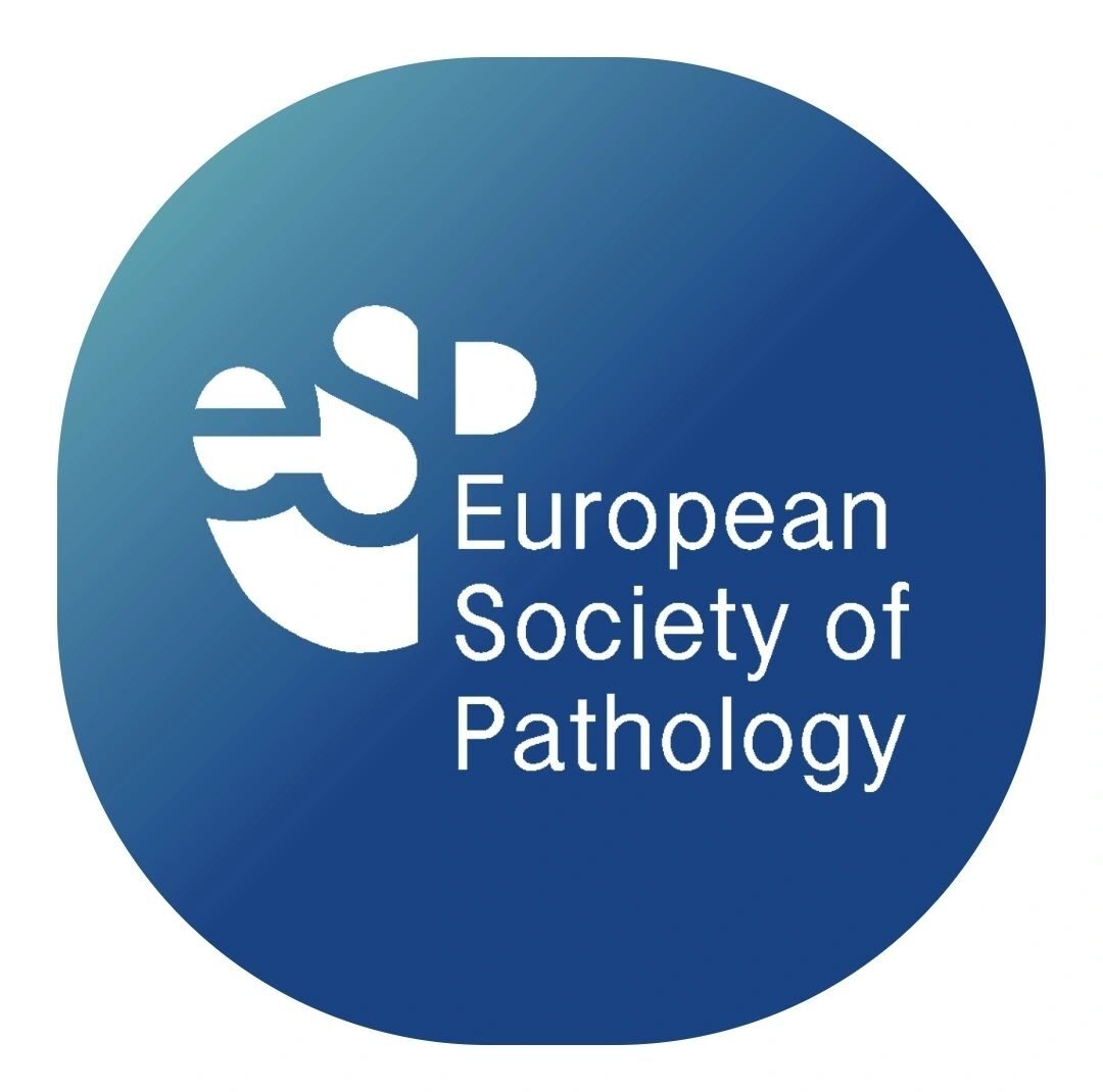 Global histopathology training and R&D highlights